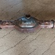 Корпус среднего моста AD1501P/RB835 б/у